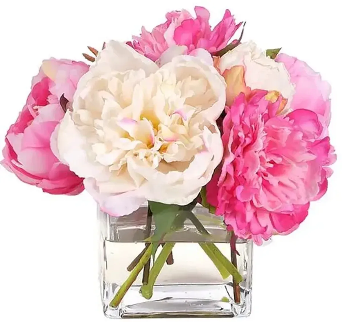 8" Peony Arrangement in Glass Cube Vase - Faux - NDI - Pink