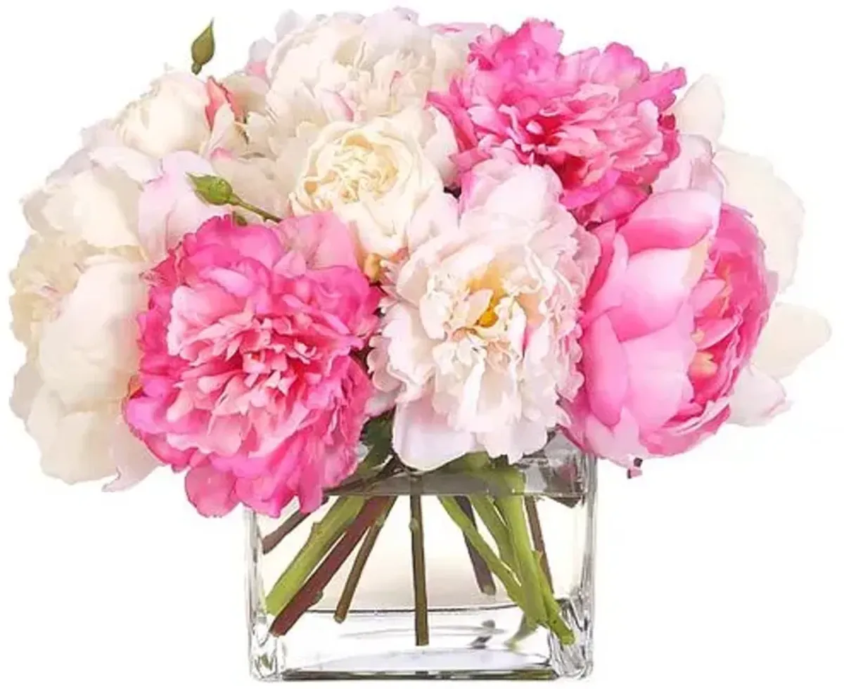 11" Peony Arrangement in Glass Cube Vase - Faux - NDI - Pink