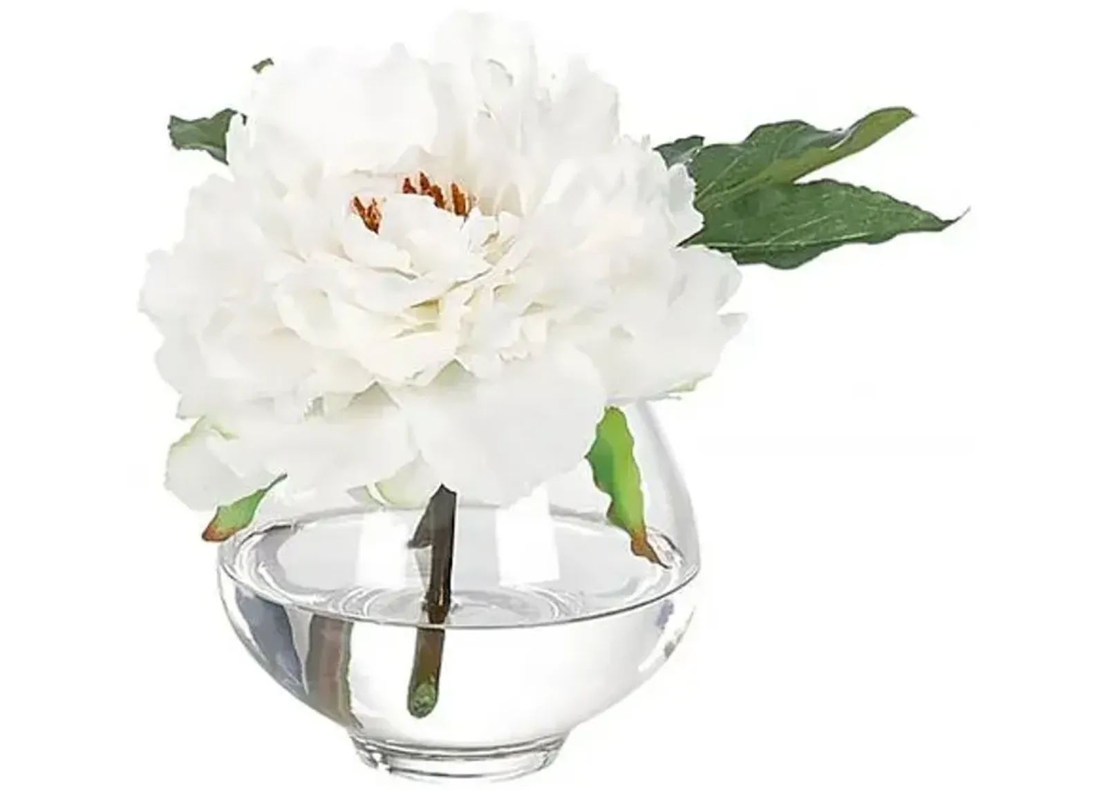 7" Peony in Glass Vase - Faux - NDI - White