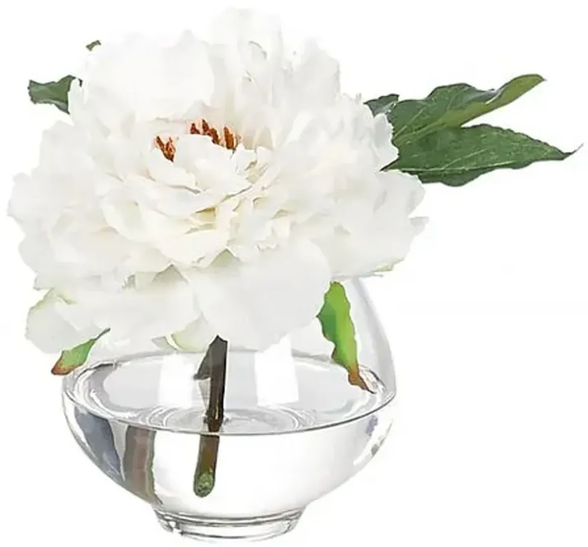 7" Peony in Glass Vase - Faux - NDI - White