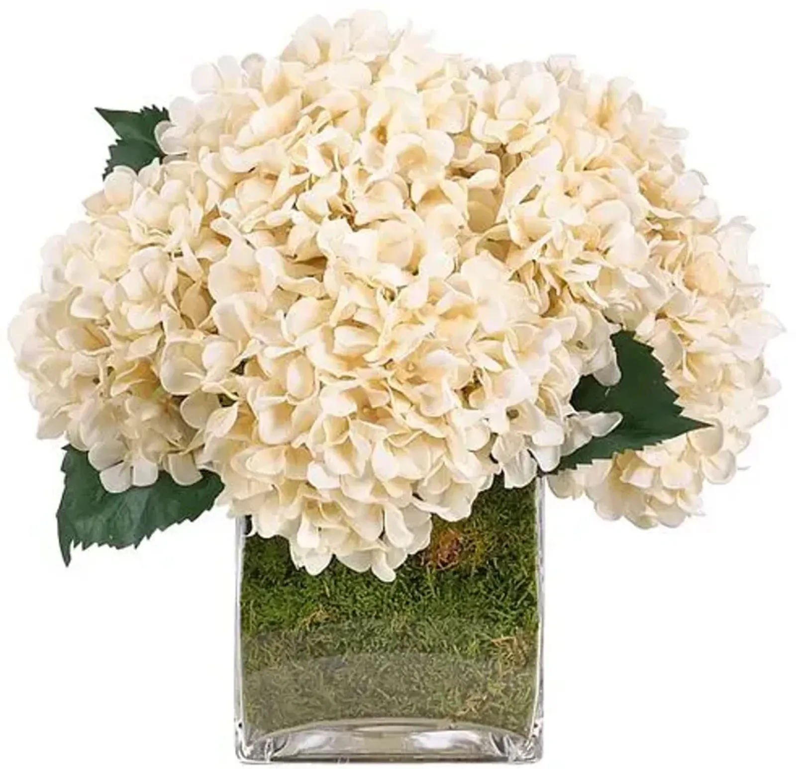 Hydrangea with Moss in Glass Cube - Faux - NDI - White