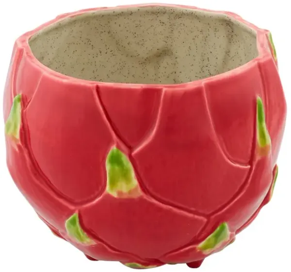 Tropical Fruits Pitaya Box, Multi