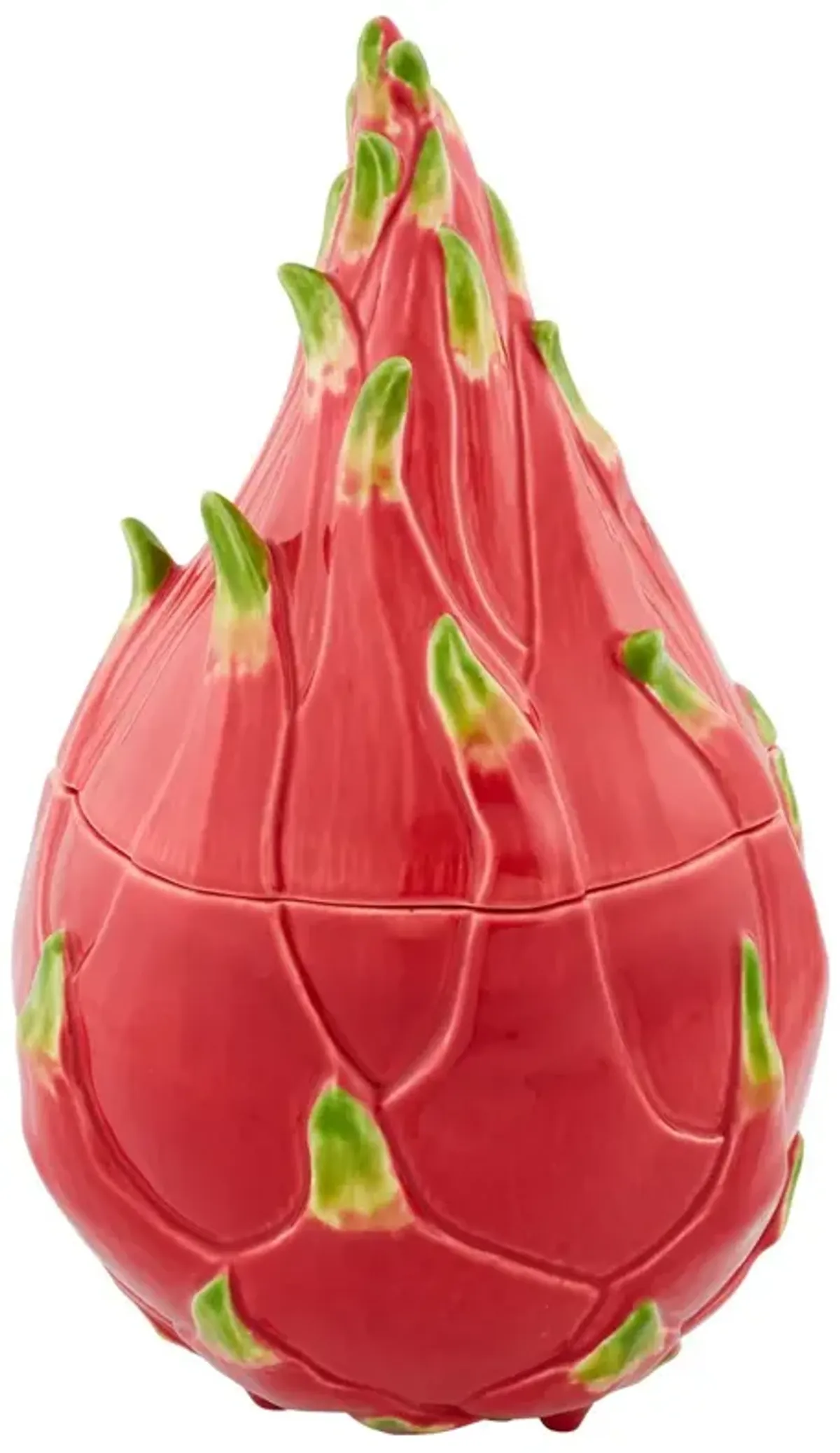 Tropical Fruits Pitaya Box, Multi