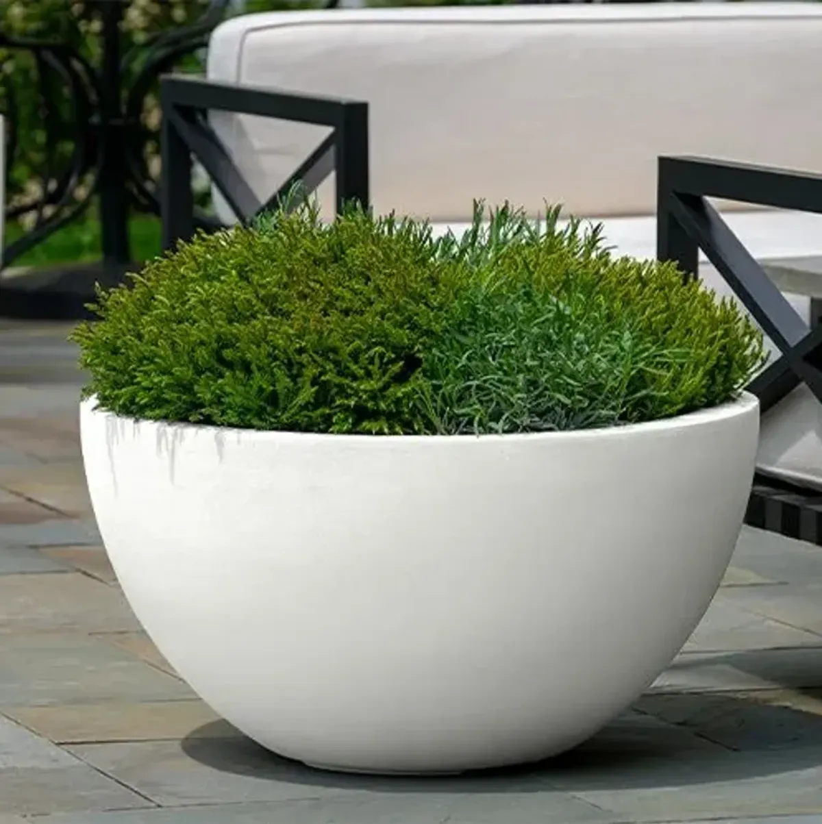 Piccadilly Planter - Chalk Lite - Campania International - White - Large