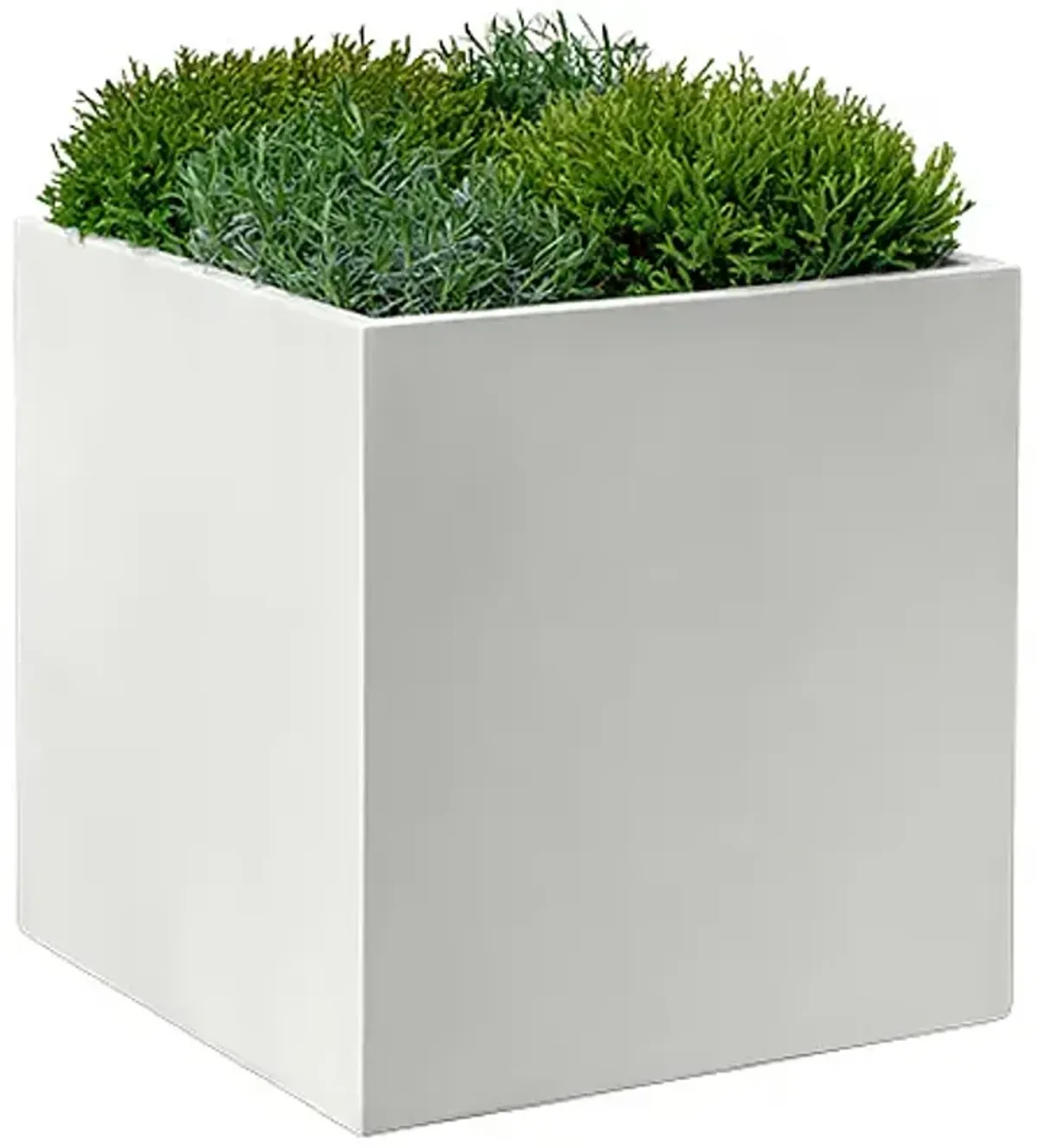 Farnley Planter, Chalk Lite