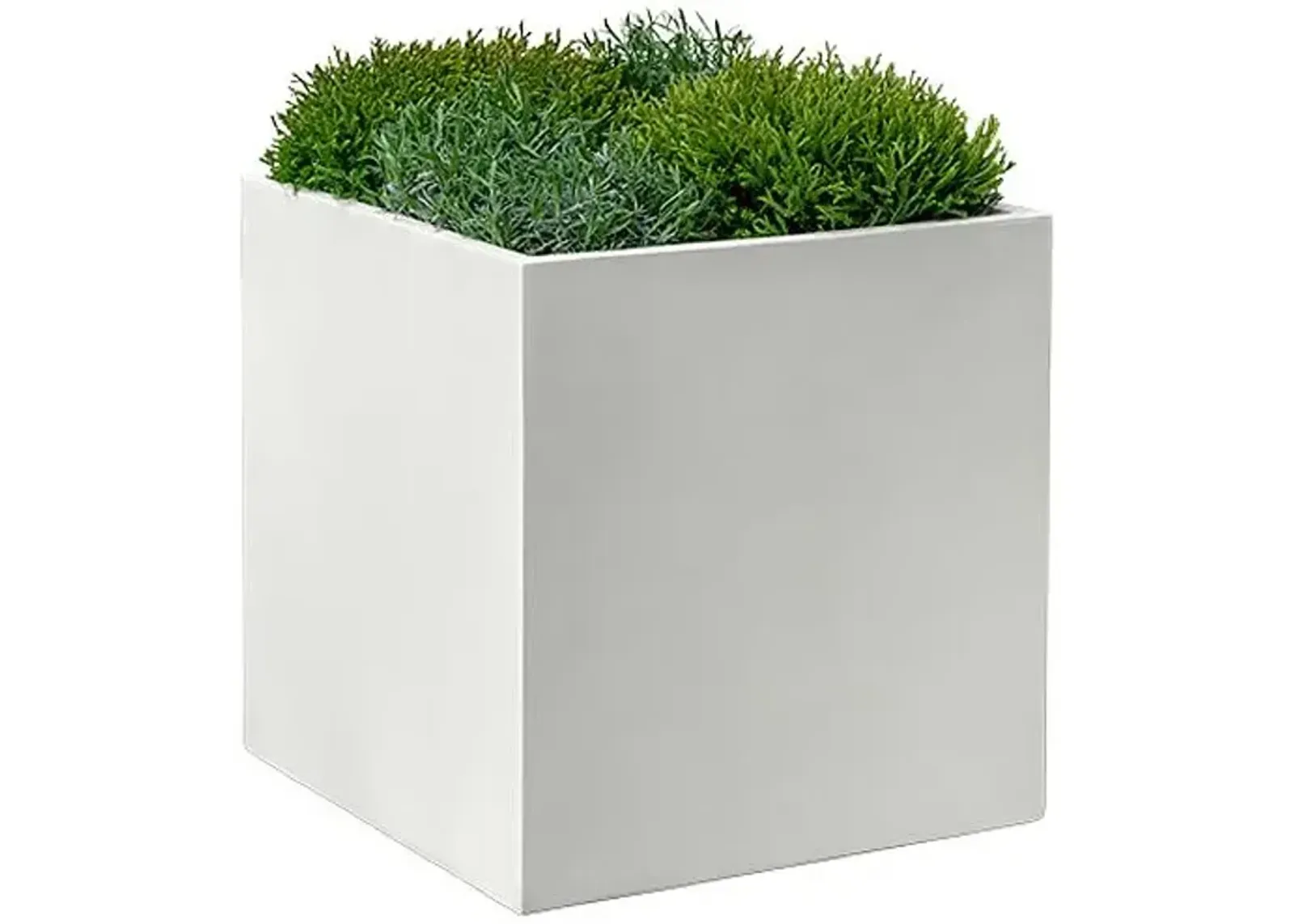 Farnley Planter - Chalk Lite - Campania International - White - 28"