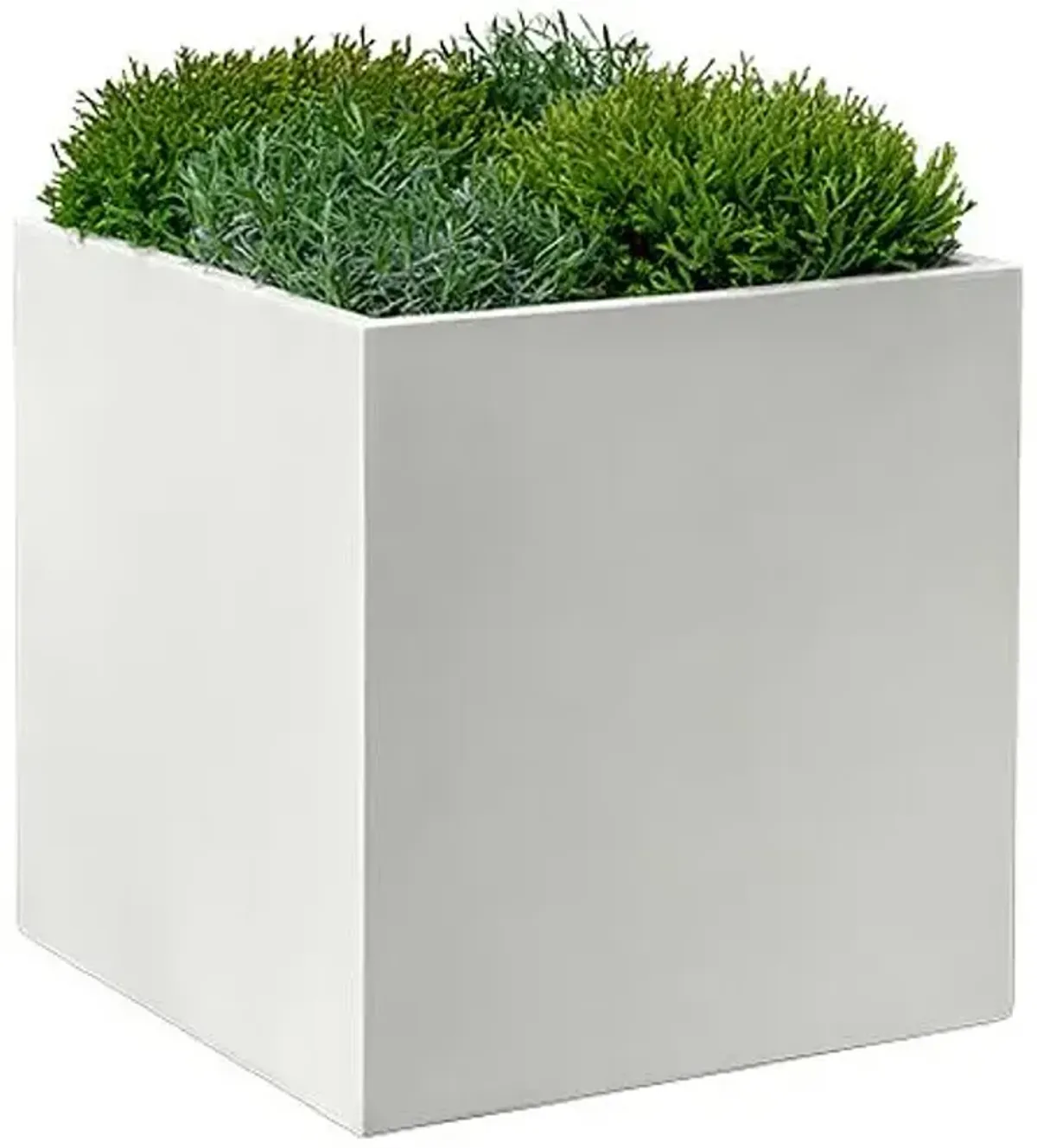 Farnley Planter - Chalk Lite - Campania International - White - 28"