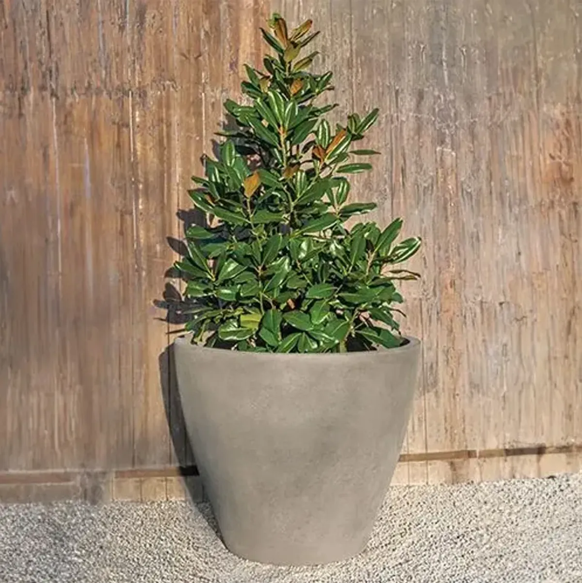 Series 1 Planter - Greystone - Campania International - Gray - 42"