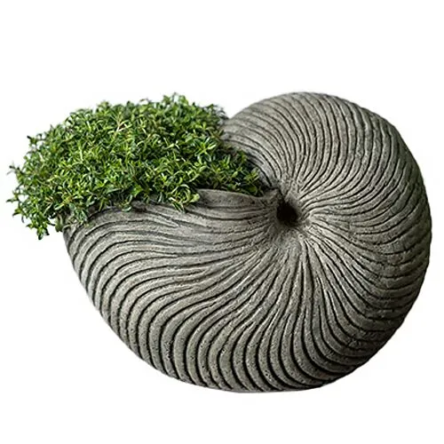 6" Ammonite Planter - Alpine Stone - Campania International - Gray - 6hx7.5lx5w