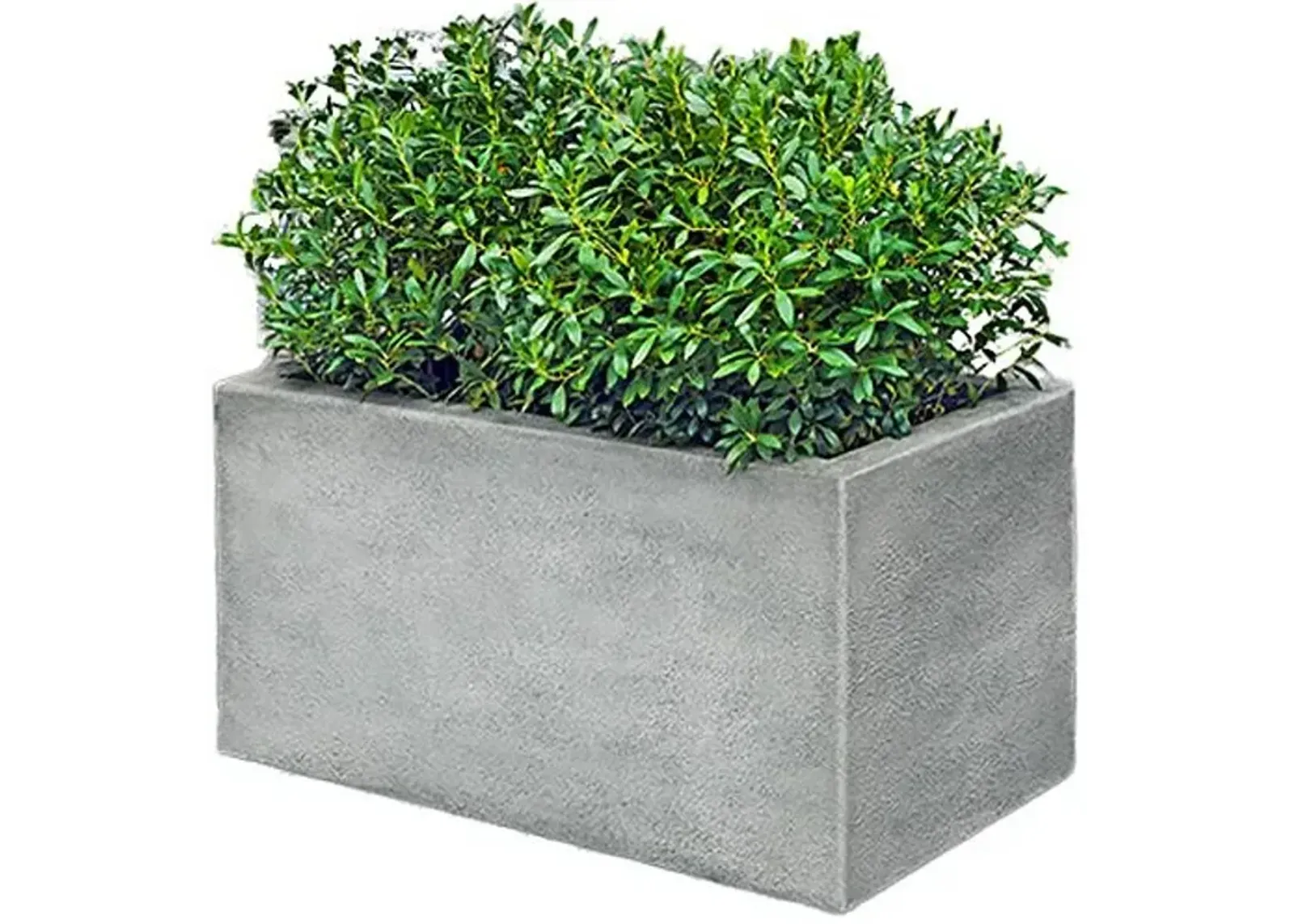 24" Metropolis Rectangle Planter - Alpine Stone - Campania International - Gray - 24hx48lx24w