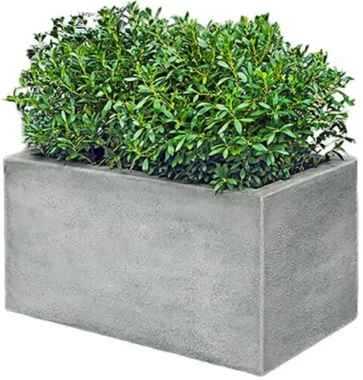 24" Metropolis Rectangle Planter - Alpine Stone - Campania International - Gray - 24hx48lx24w