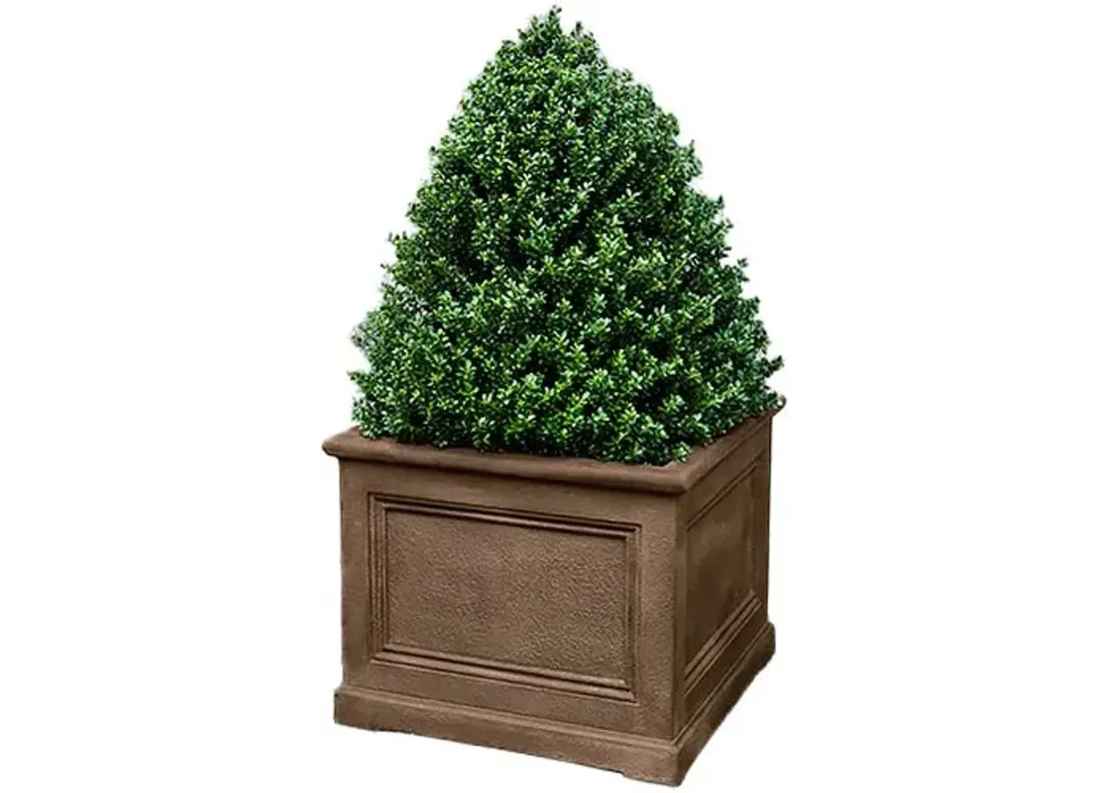 LeNotre Square Planter - Pietra Nuova - Campania International - Brown - 48"