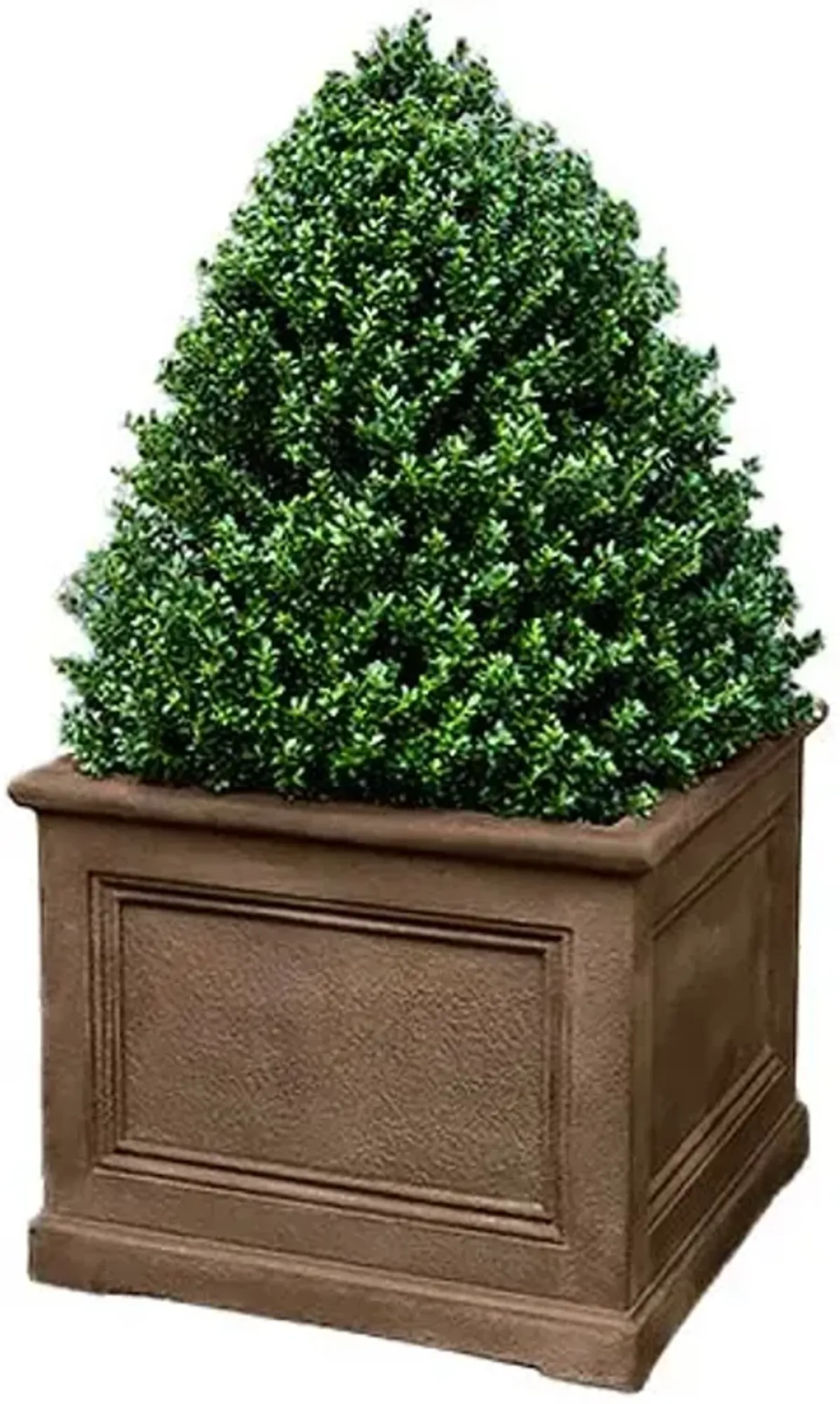 LeNotre Square Planter - Pietra Nuova - Campania International - Brown - 48"