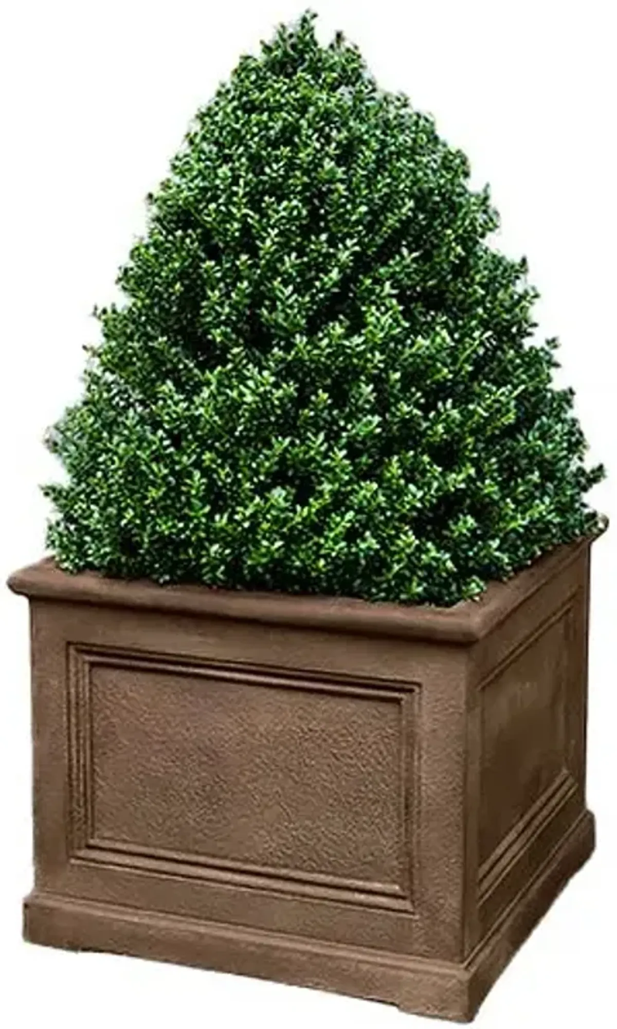 LeNotre Square Planter - Pietra Nuova - Campania International - Brown - 36"