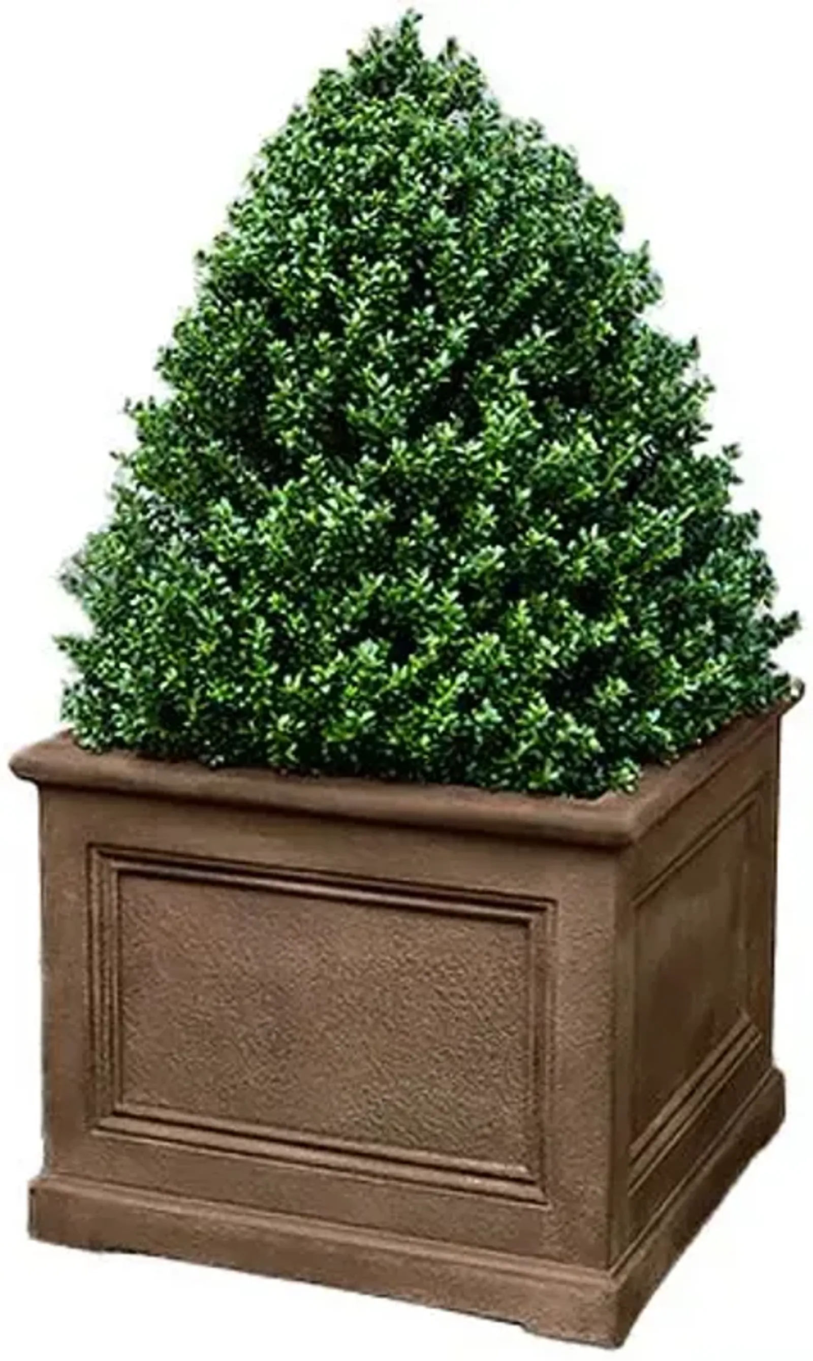 LeNotre Square Planter - Pietra Nuova - Campania International - Brown - 30"