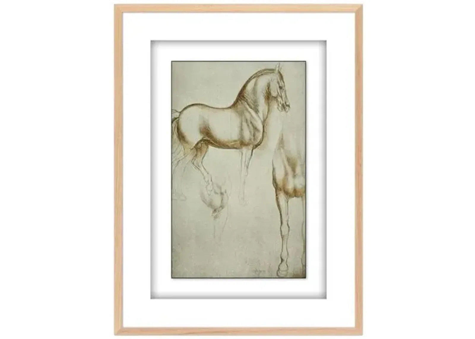 Horse Sketch by Getty POD - White