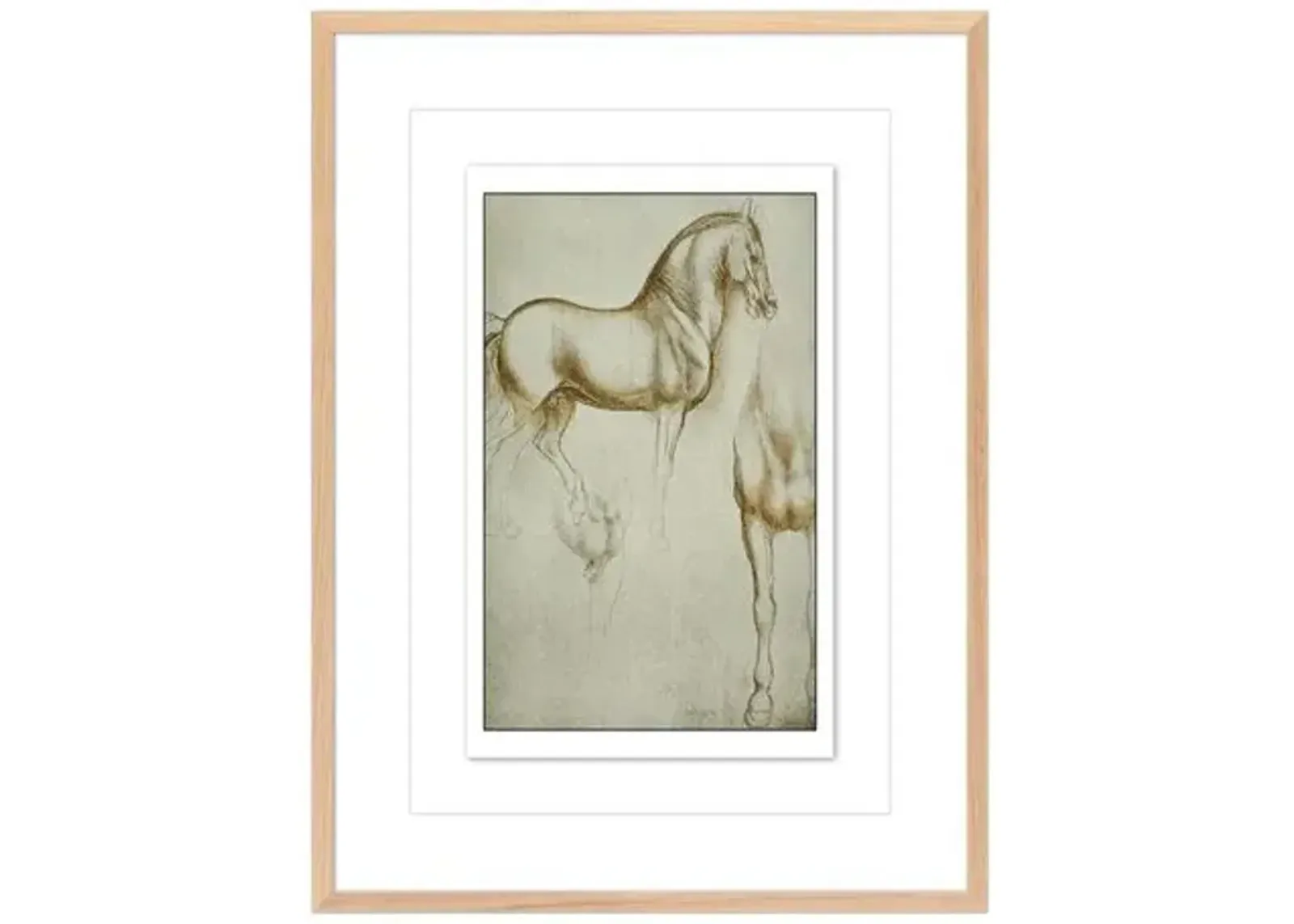 Horse Sketch by Getty POD - White