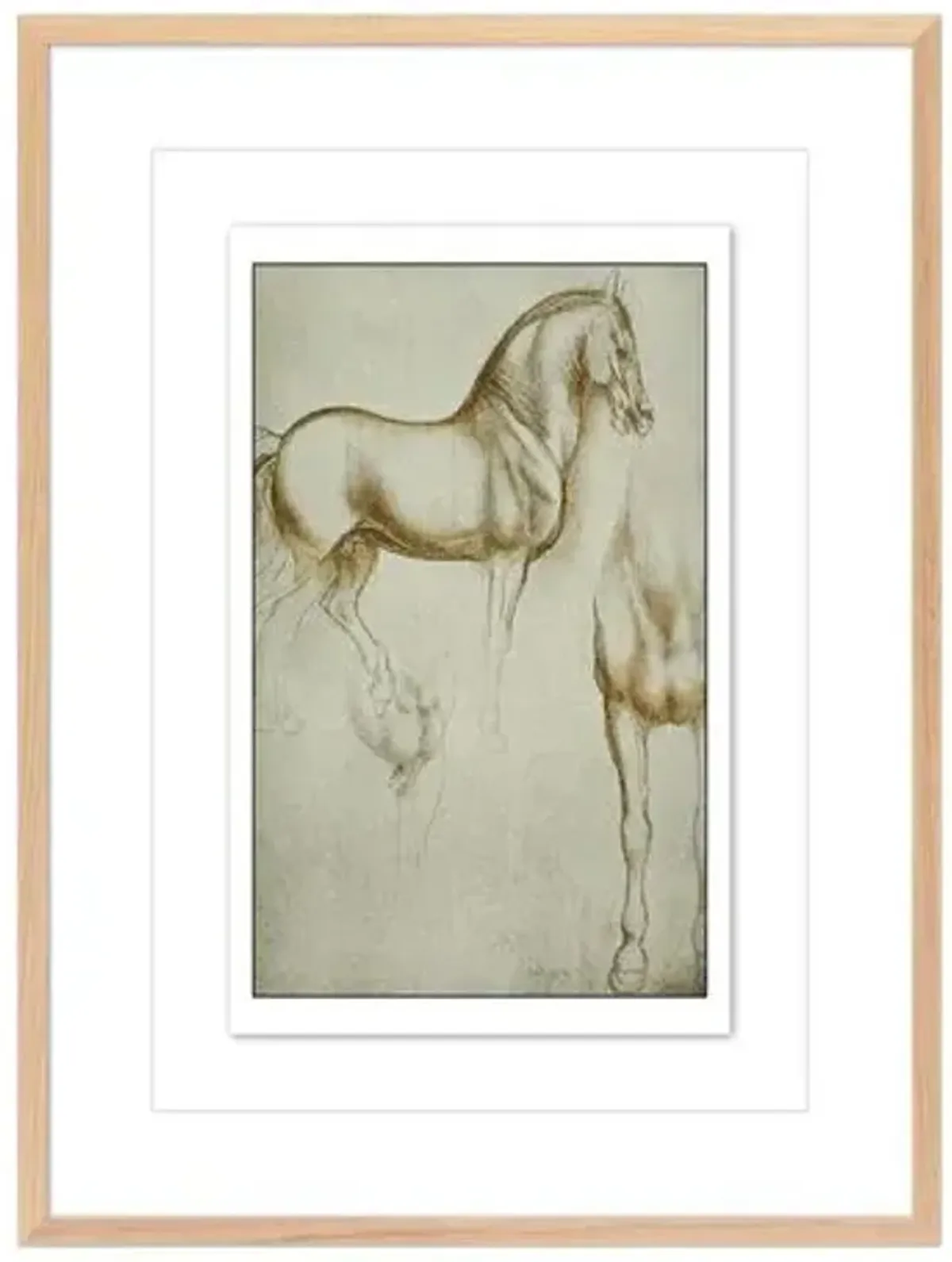 Horse Sketch by Getty POD - White