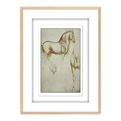 Horse Sketch by Getty POD - White