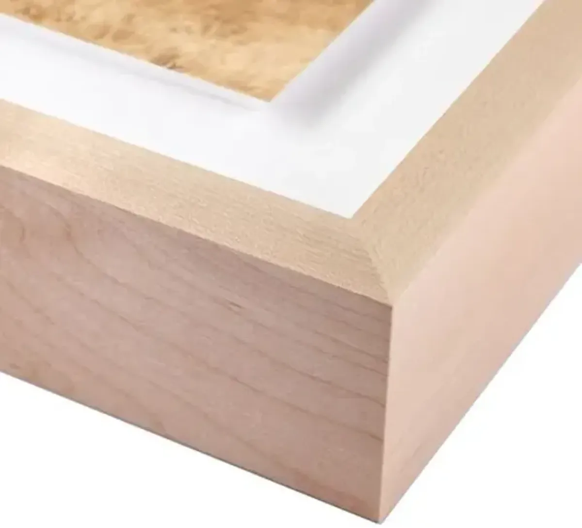 Aileen Fitzgerald - Serene III Painting - Brown