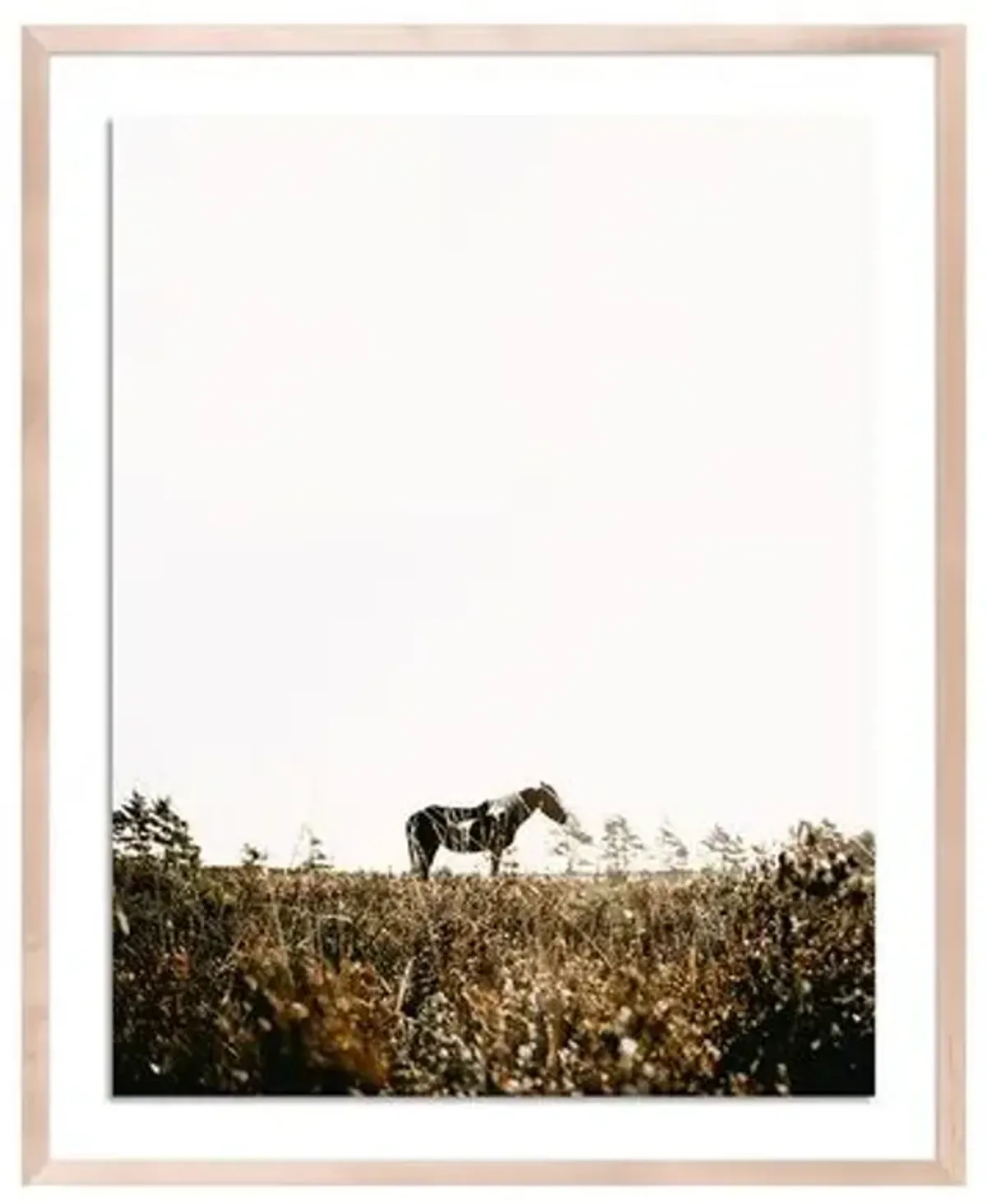 Annie Spratt - Horse Photograph - Brown