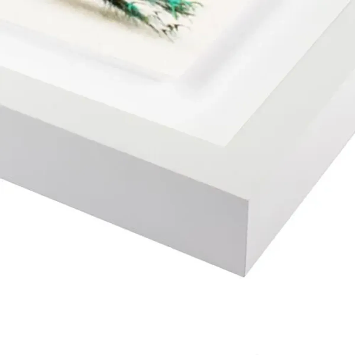 Sarah Ellefson - Peacock Photograph - White