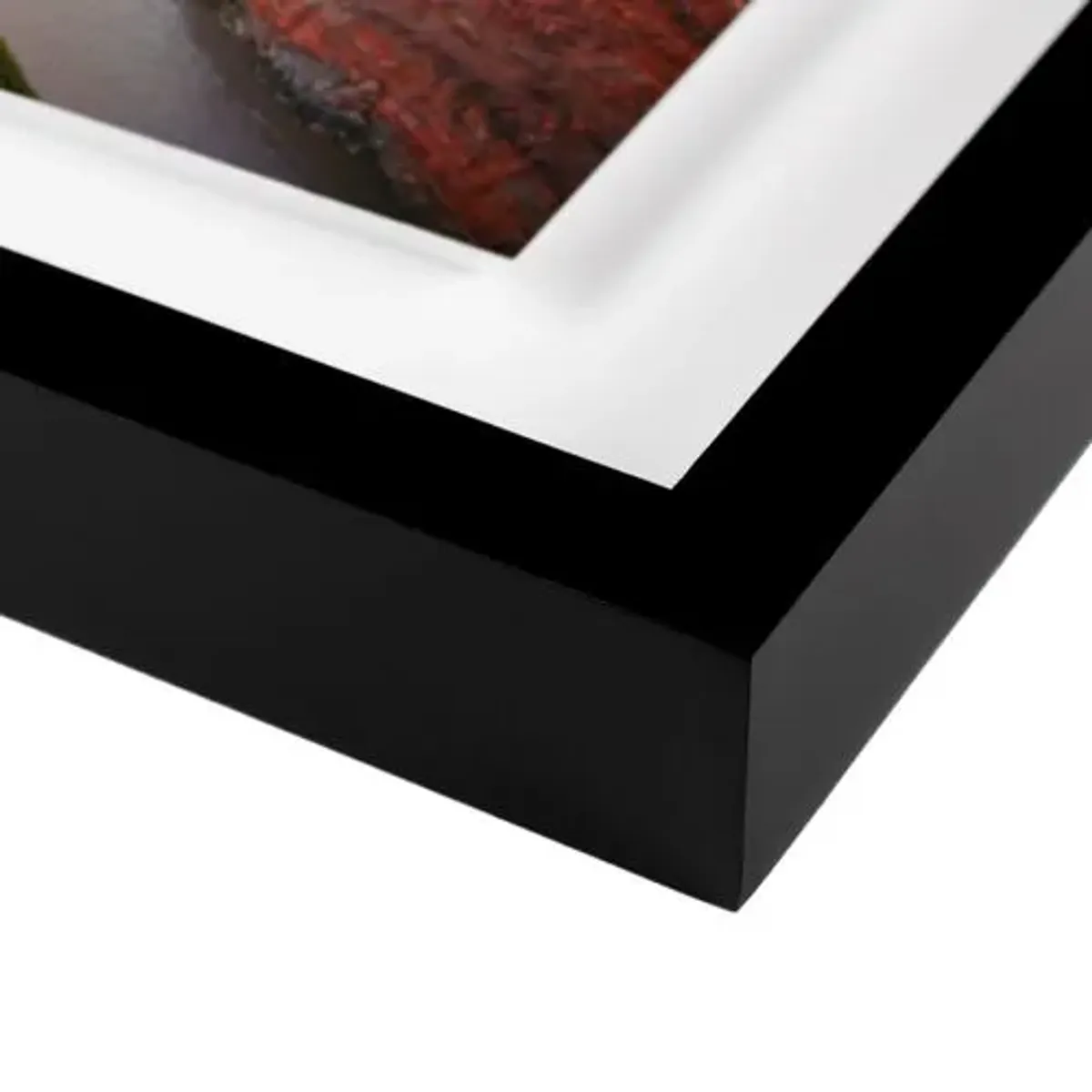 Bryce Duffy - Colorado River Utah Photograph - Black