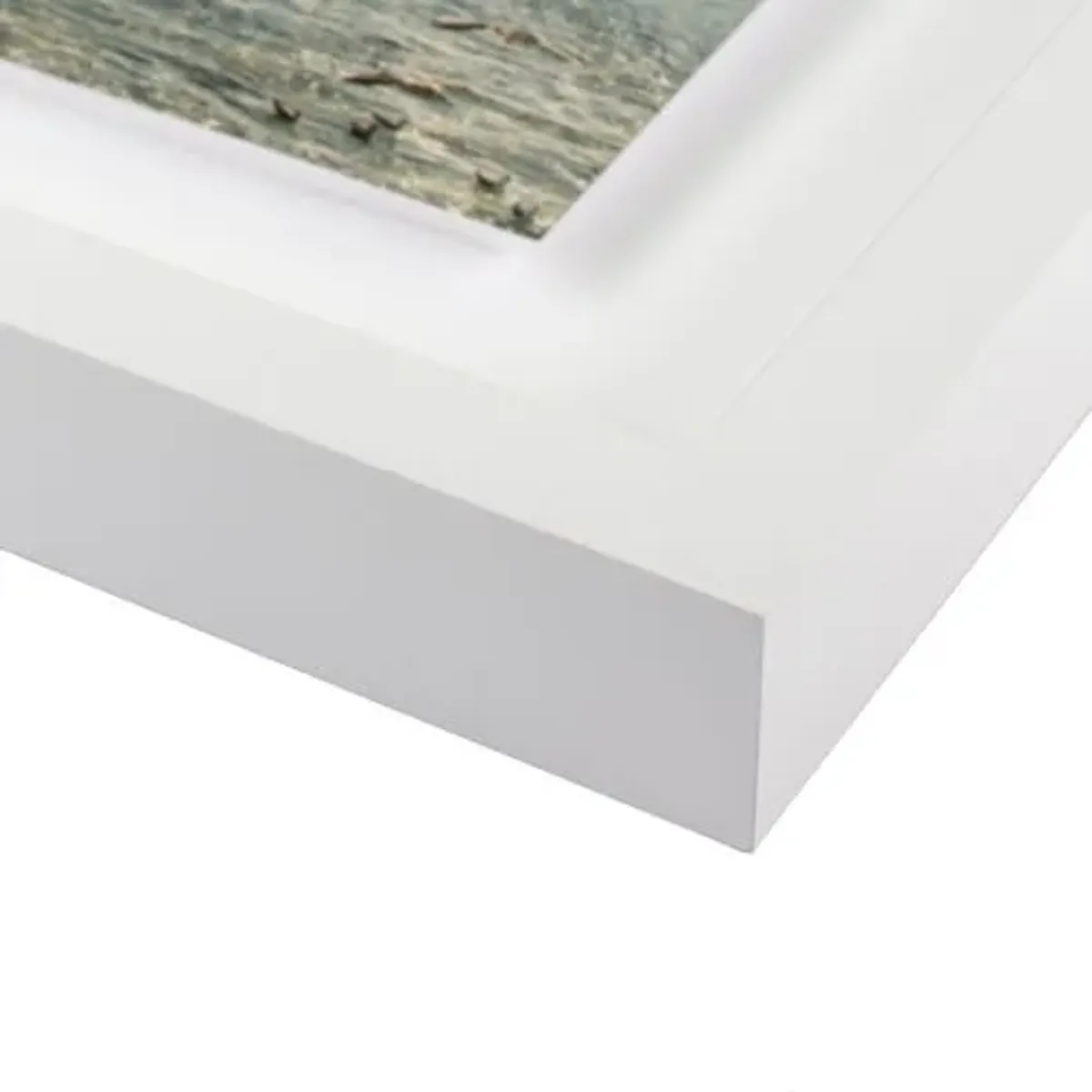 Bryce Duffy - Gulls on the Wing Photograph - White