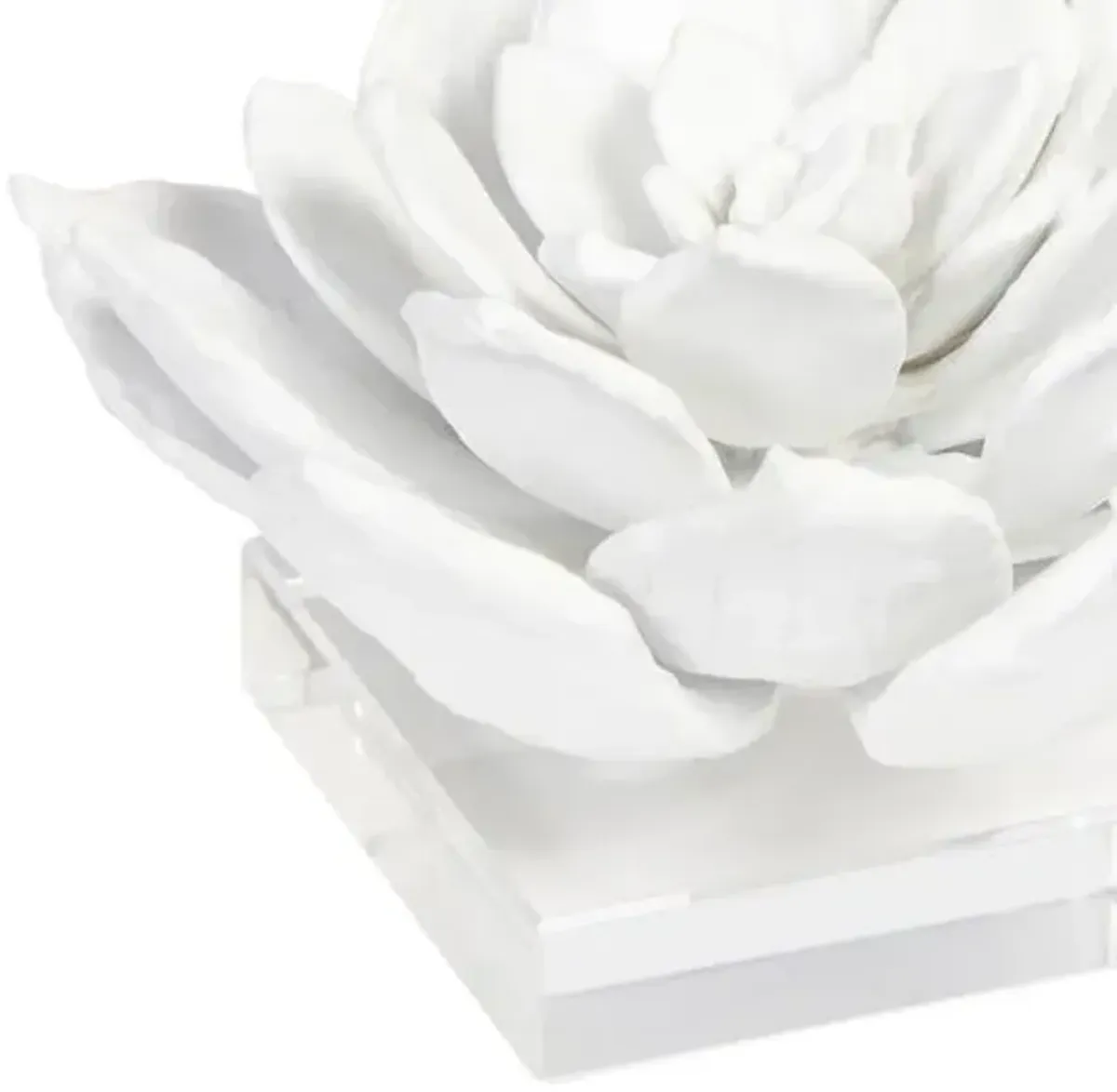 Succulent Resin Sculpture - White - Regina Andrew