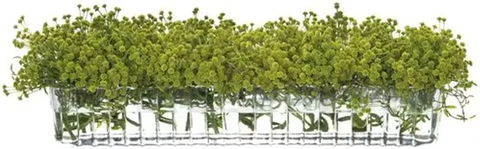 9" Baby's Breath/Mini Leaf Arrangement in Long Ribbed Glass Vase - Faux - Green