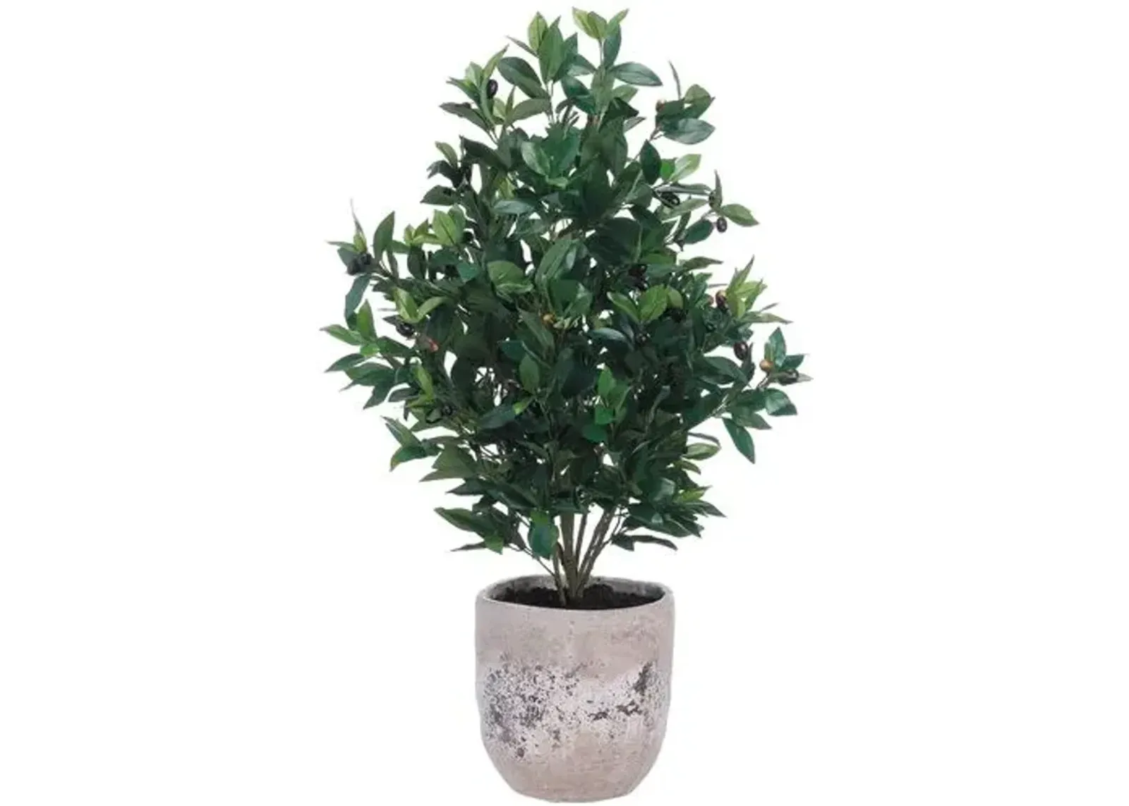 45" Olive Tree in Cement Planter - Faux - Green - 45Hx26Lx22W in