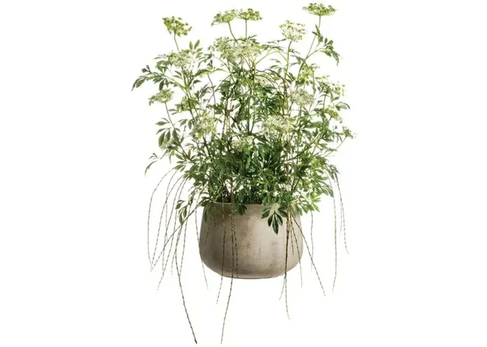 46" Queen Anne's Lace with Hanging Willow Arrangement - Faux - Green