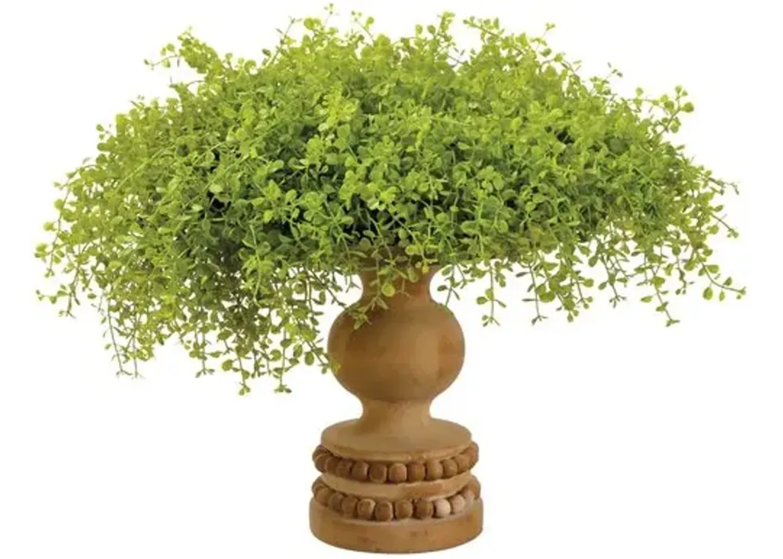 Baby's Tears in Footed Wood Planter - Faux - Green - 16"