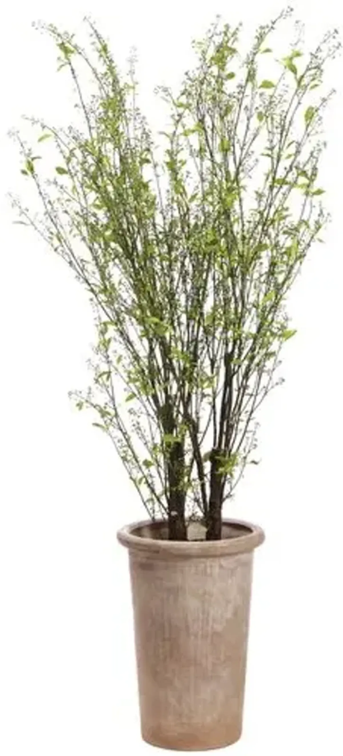 8' Berry Tree in Cement Planter - Faux - Green - 95Hx25Lx25W in