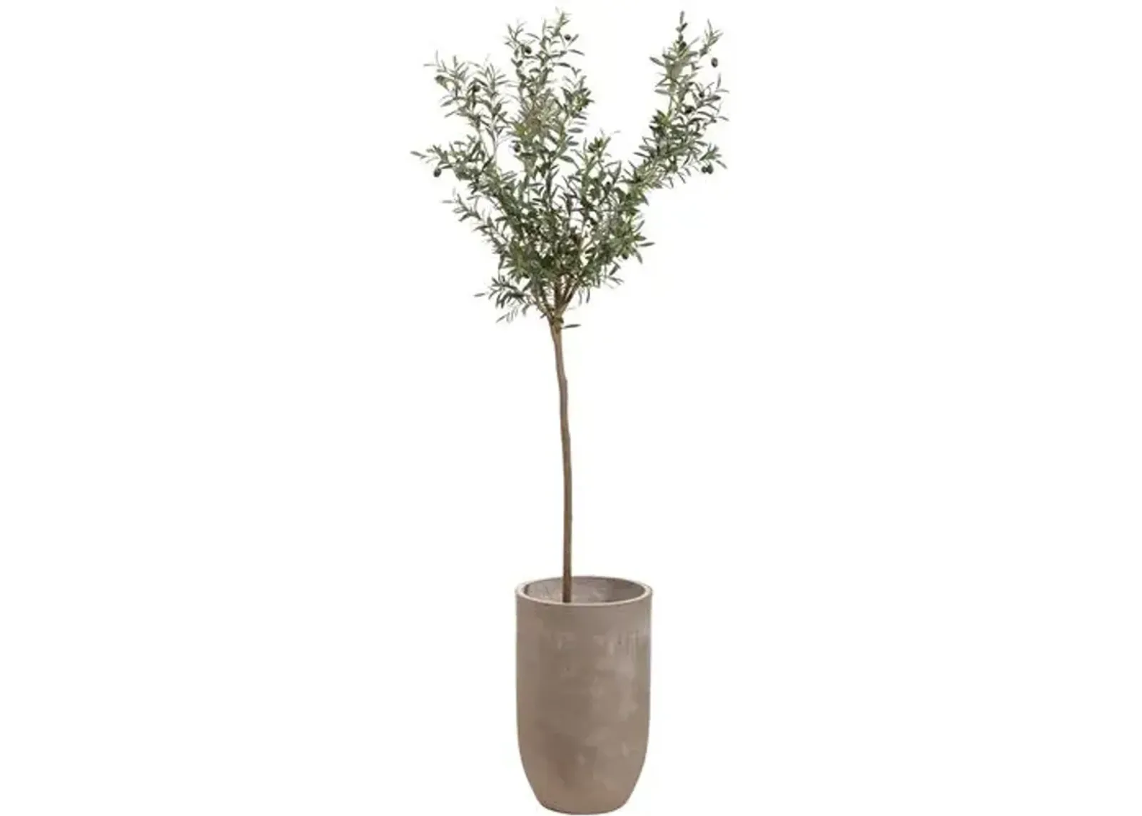 8' Olive Tree in Cement Planter - Faux - Green - 95Hx22.25Lx22.25W in