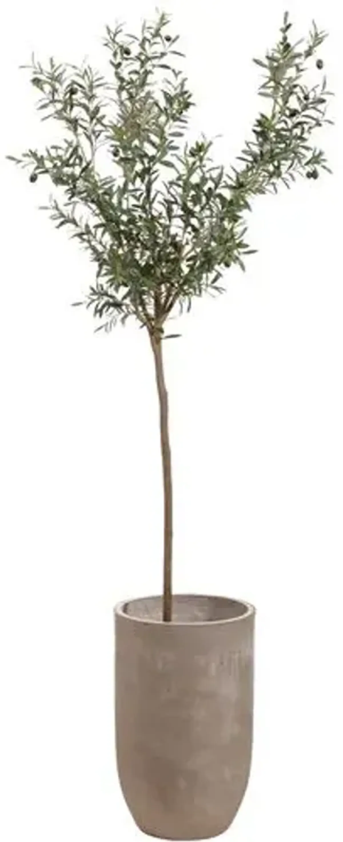 8' Olive Tree in Cement Planter - Faux - Green - 95Hx22.25Lx22.25W in