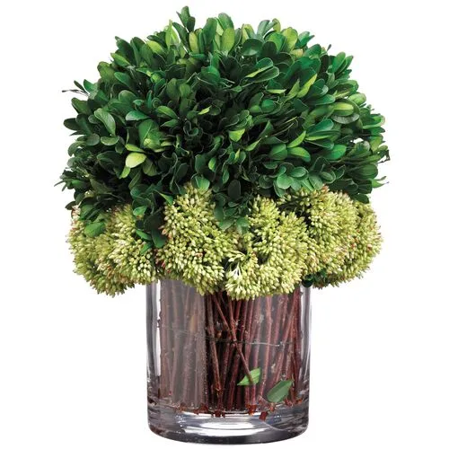 11" Preserved Boxwood in Glass Vase - Faux - Green
