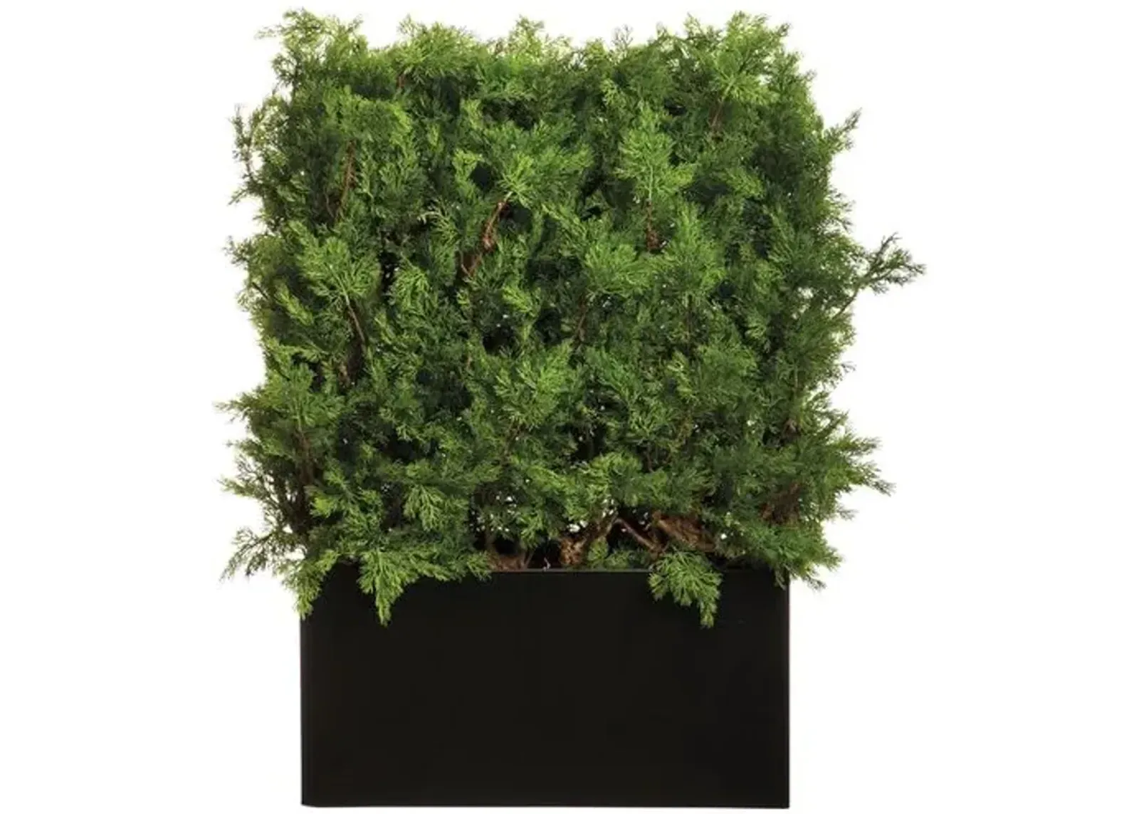 4' UV Protected Ming Juniper/ Twig Hedge in Black Planter with Gloss Finish - Faux - Green - 51Hx31Lx16W in