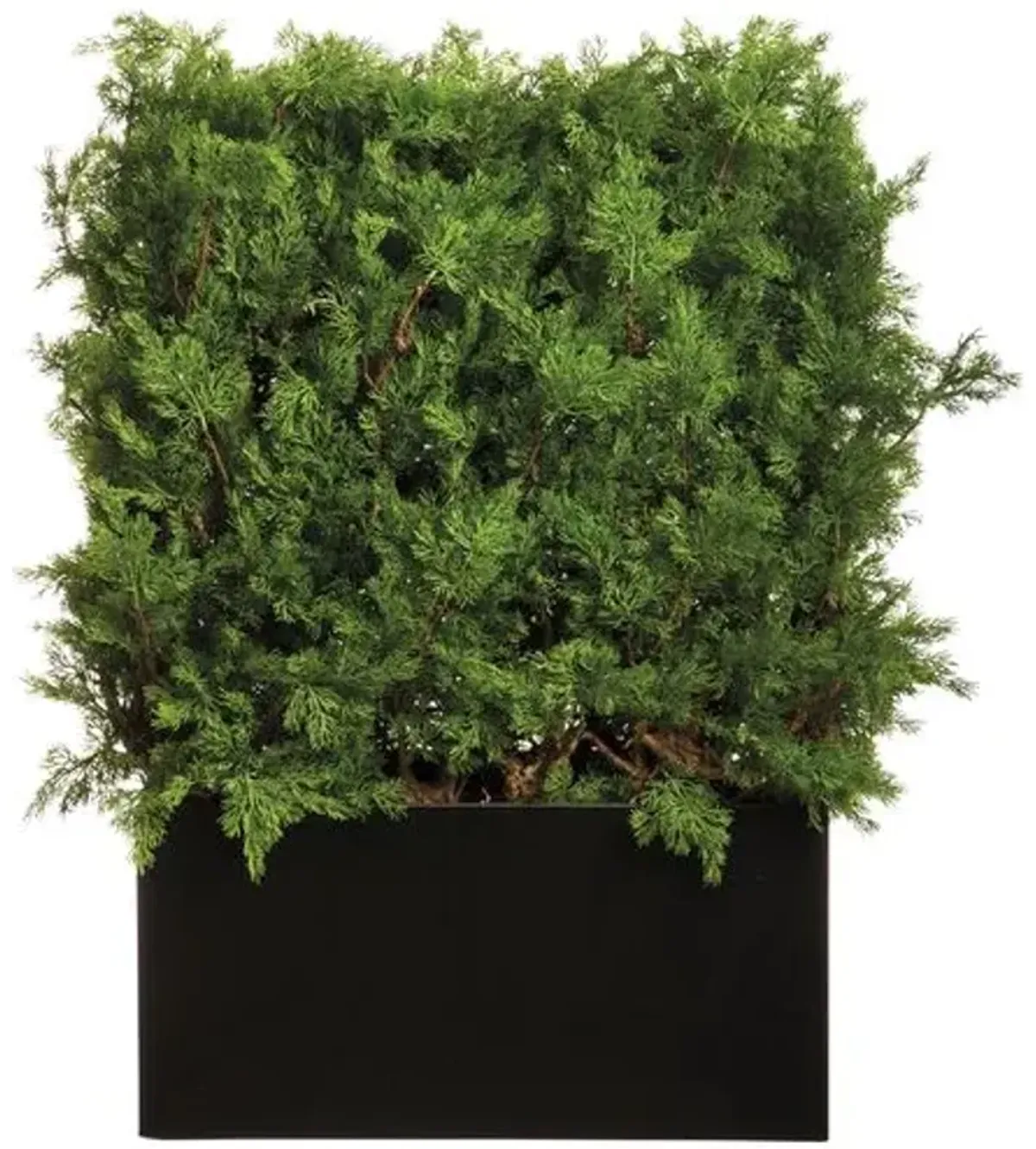 4' UV Protected Ming Juniper/ Twig Hedge in Black Planter with Gloss Finish - Faux - Green - 51Hx31Lx16W in