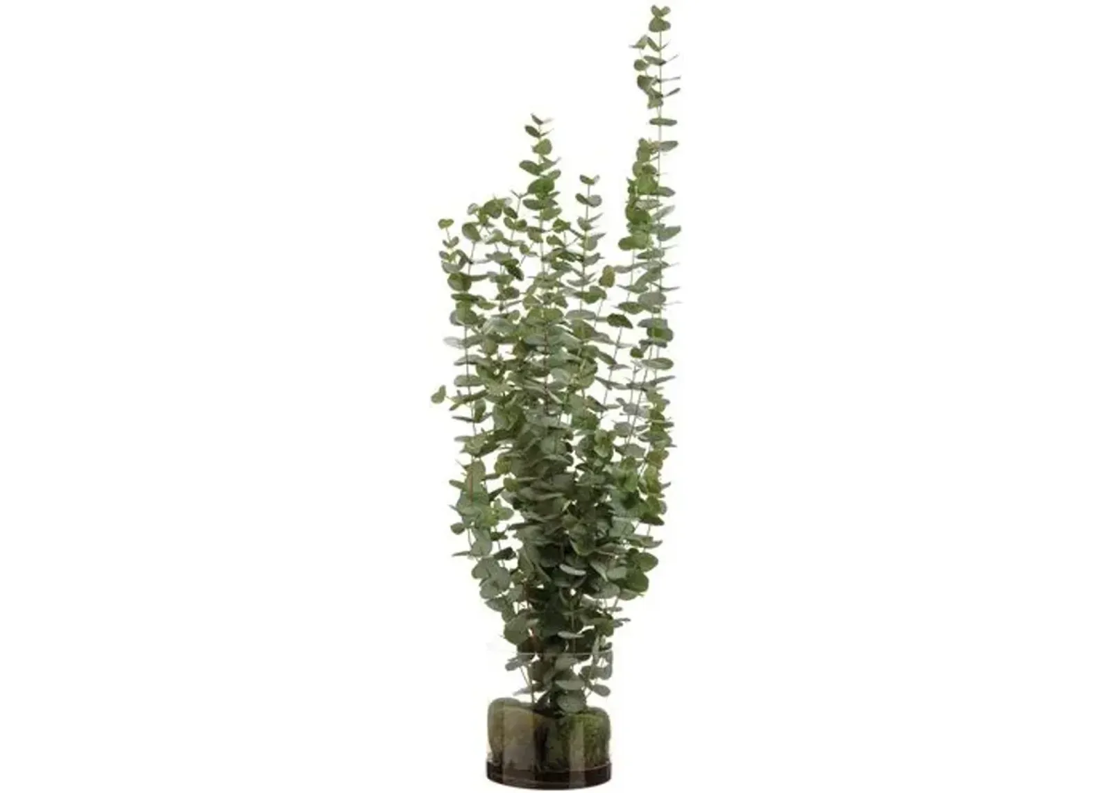 5' Eucalyptus in Glass Vase - Faux - Green