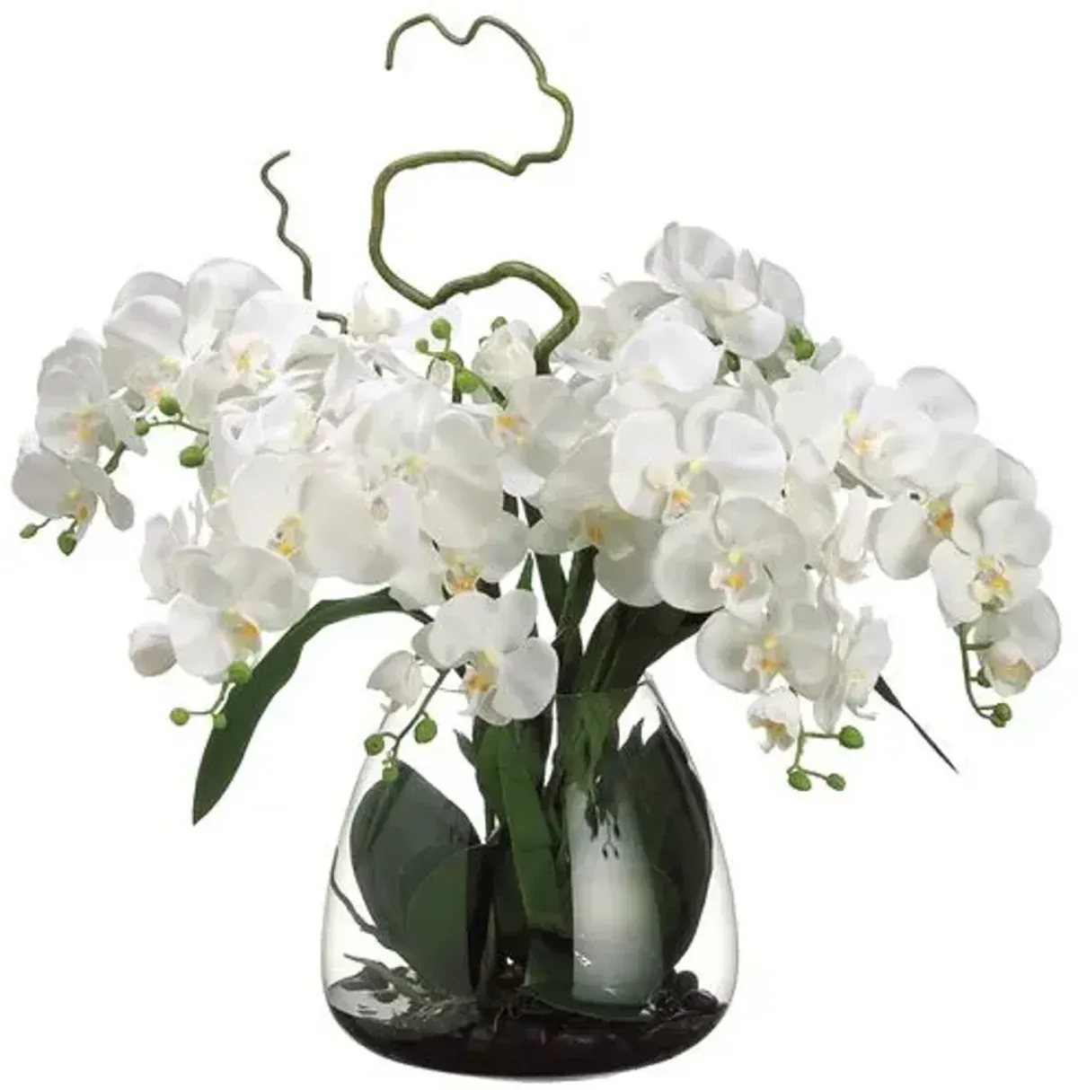 26" Phalaenopsis Orchid in Glass Vase - Faux - White