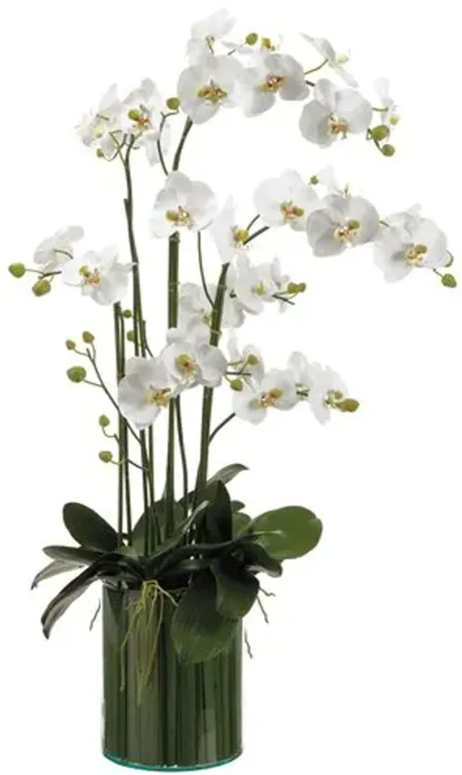 44" Orchids in Soil Glass Vase - Faux - White