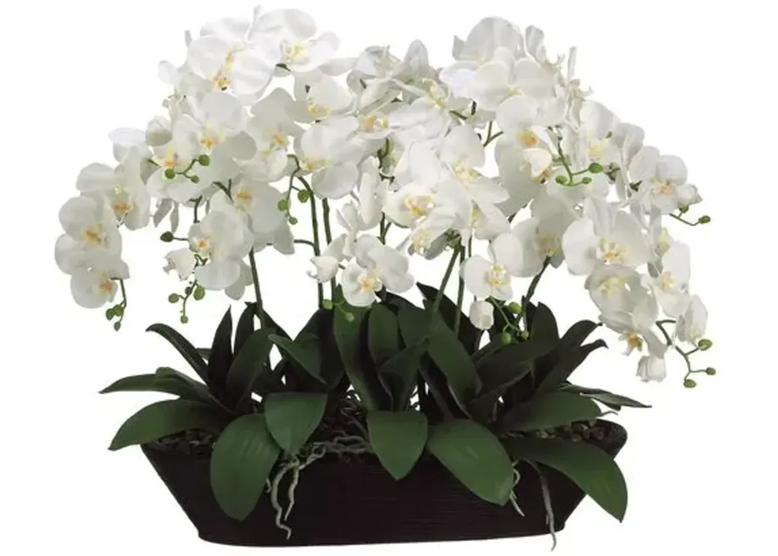 27" White Phalaenopsis Orchid in Oval Planter - Faux - 27Hx30Lx20W in