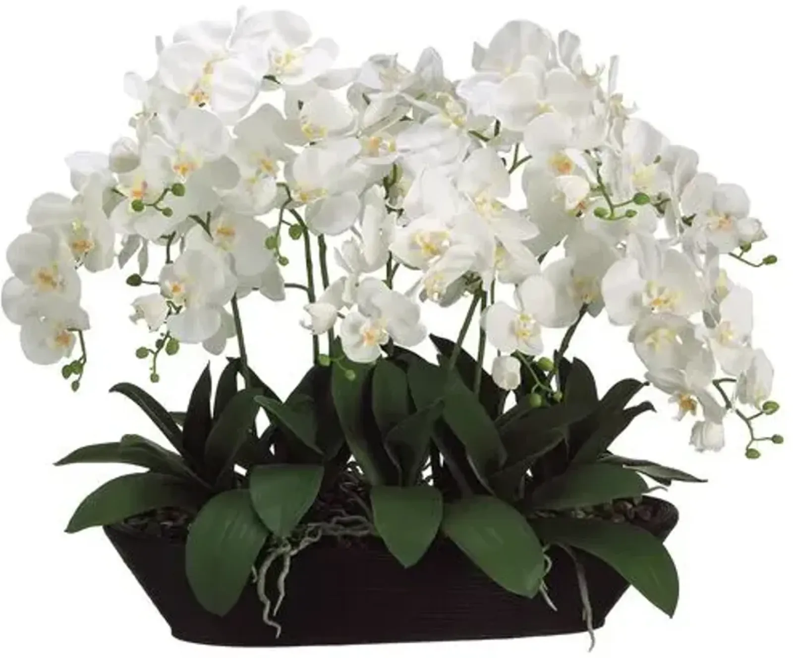 27" White Phalaenopsis Orchid in Oval Planter - Faux - 27Hx30Lx20W in