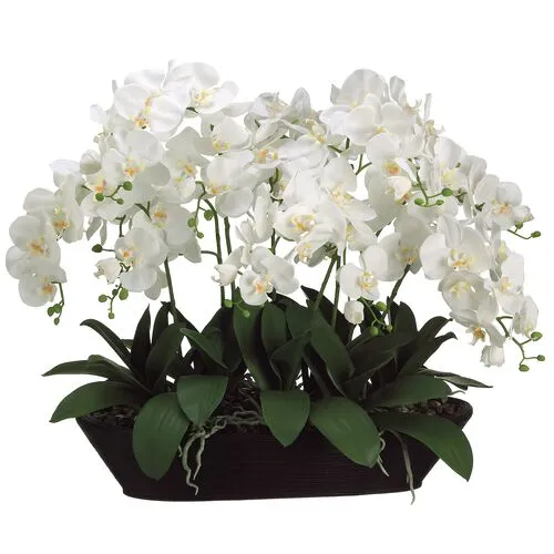 27" White Phalaenopsis Orchid in Oval Planter - Faux - 27Hx30Lx20W in