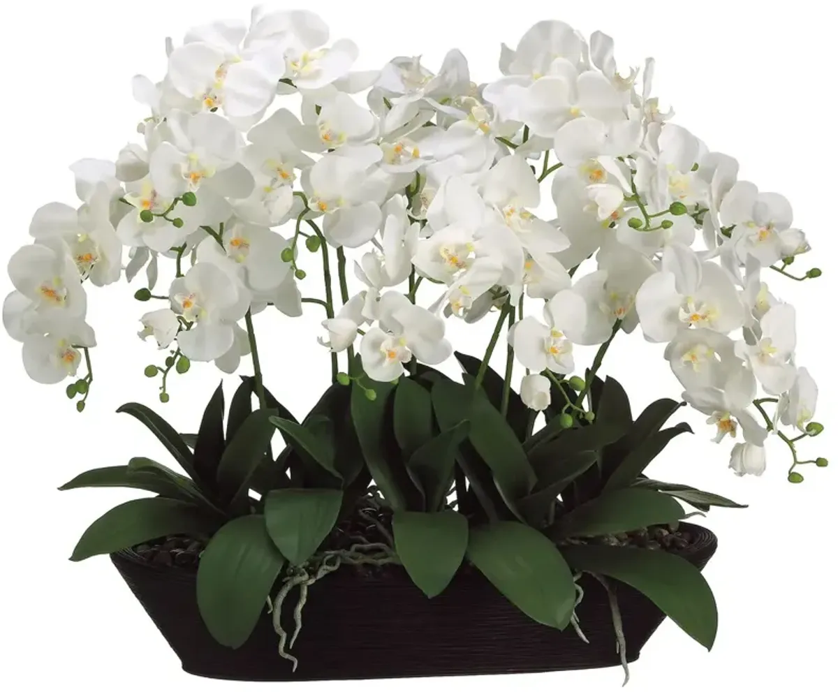 27" White Phalaenopsis Orchid in Oval Planter, Faux
