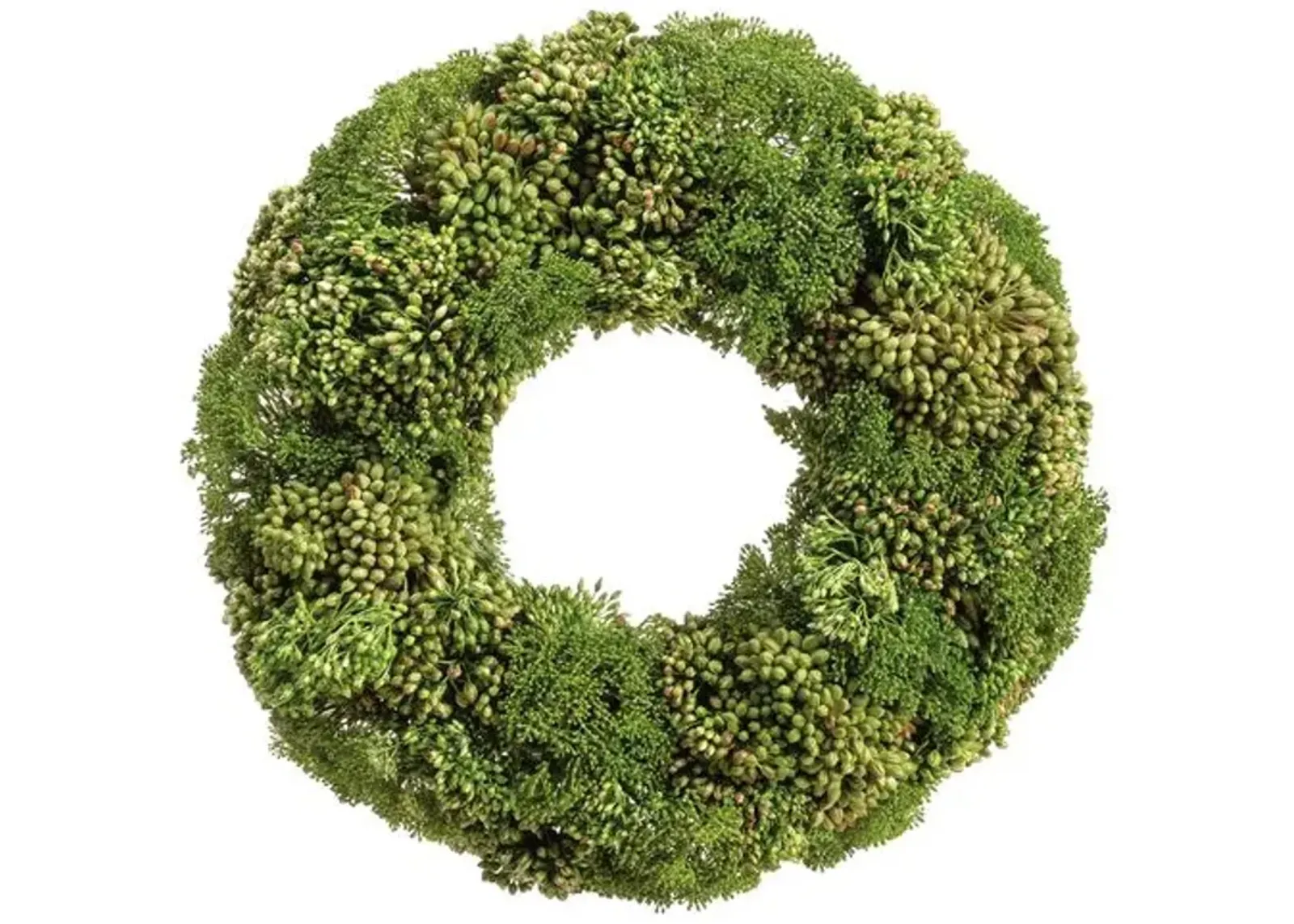 19" Sedum/Skimmia/Berry Wreath - Faux - Green