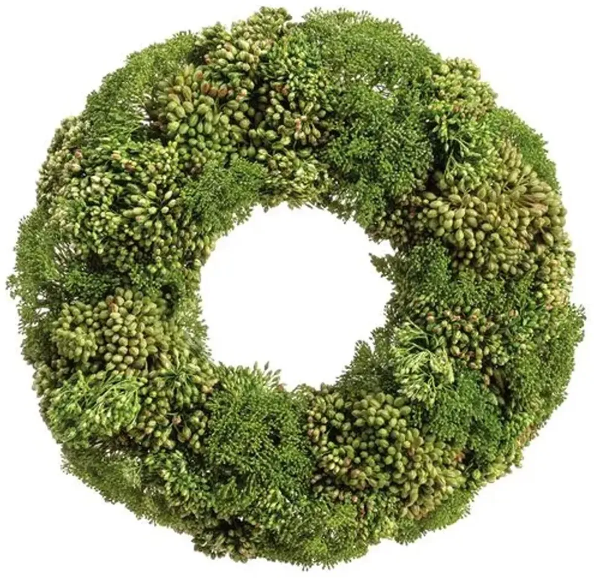 19" Sedum/Skimmia/Berry Wreath - Faux - Green