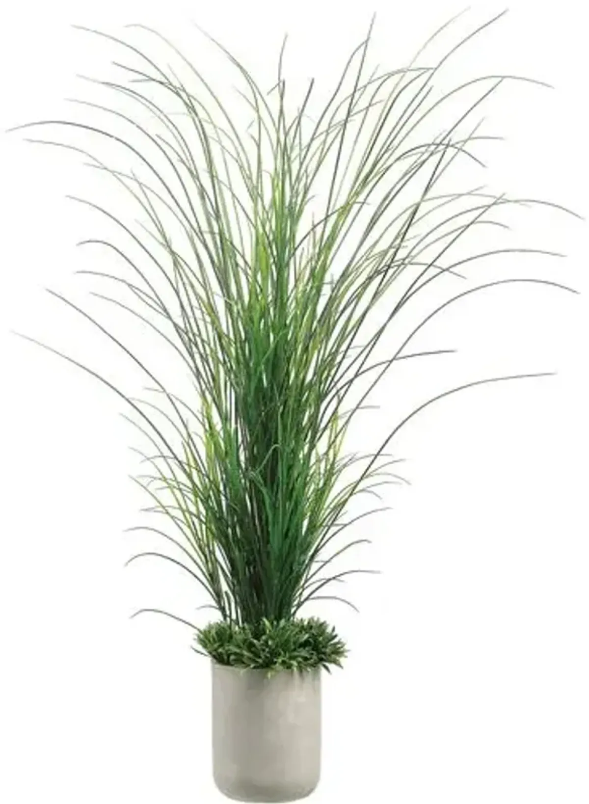 70" Tall Grass with Rye Grass in Fiber Cement Planter - Faux - Green - 70Hx19.5Lx16.3W in