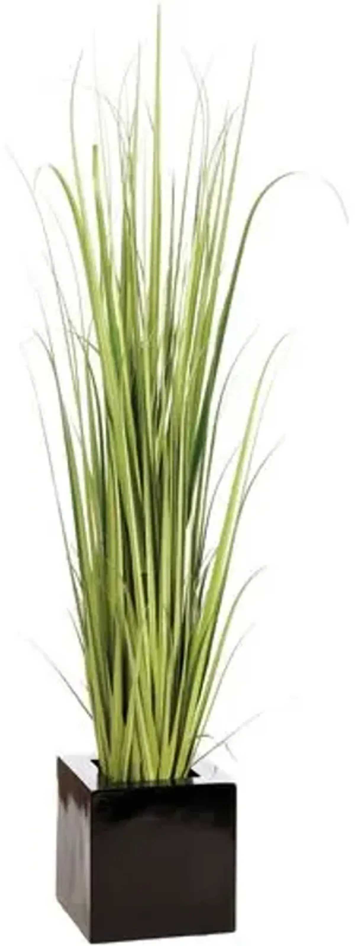 92" Reed Grass in Fiber Cement Planter - Faux - Green - 92Hx18.25Lx18.25W in